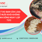 5 lý do bạn cần loại bỏ ruồi khỏi không gian sống ngay lập tức