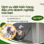 Dịch vụ diệt kiến cho doanh nghiệp: An toàn, hiệu quả, tiết kiệm