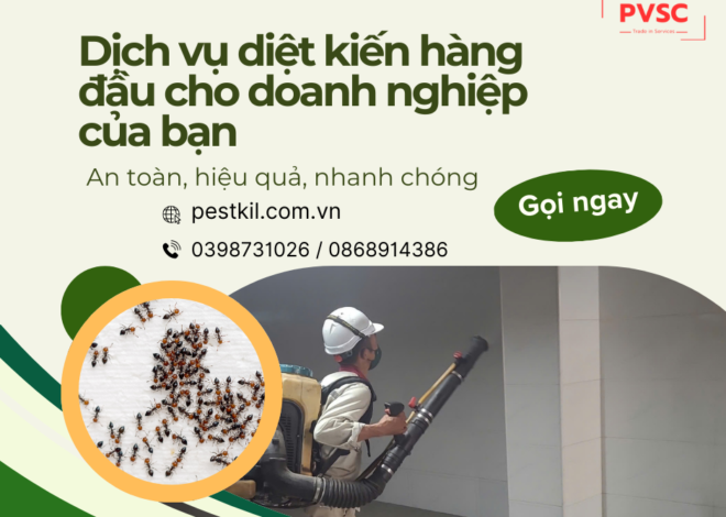 Dịch vụ diệt kiến cho doanh nghiệp: An toàn, hiệu quả, tiết kiệm