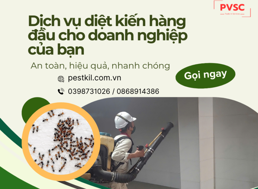 Dịch vụ diệt kiến cho doanh nghiệp: An toàn, hiệu quả, tiết kiệm