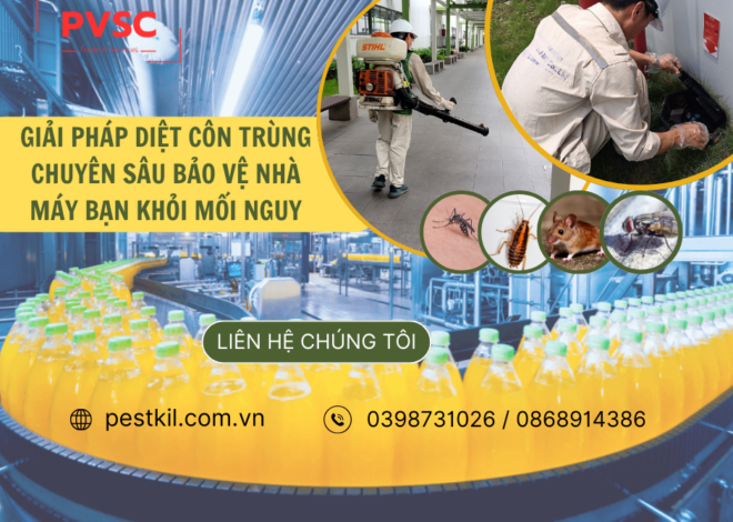 Dịch vụ diệt côn trùng tận gốc cho nhà máy sản xuất