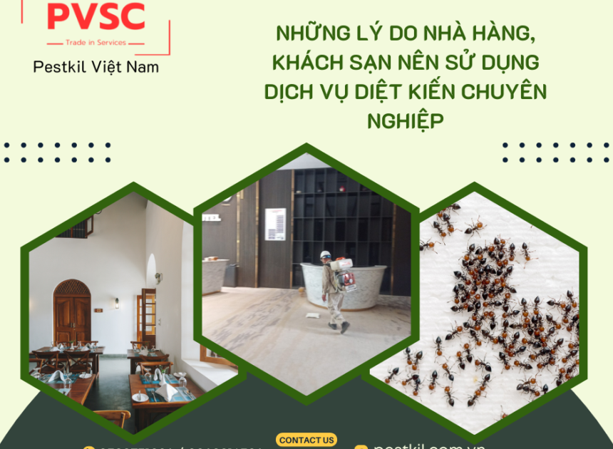 Tại sao nhà hàng khách sạn nên thuê dịch vụ diệt kiến định kỳ