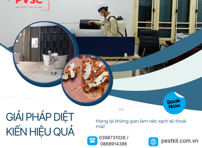 Tại sao văn phòng , khu công nghiệp nên thuê dịch vụ diệt kiến?