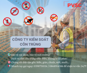 Dịch vụ diệt côn trùng tổng hợp – Công ty diệt côn trùng PVSC