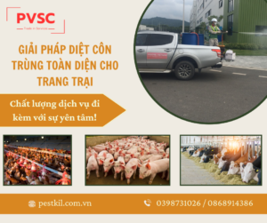 Dịch vụ diệt côn trùng cho trang trại: Giải pháp Hiệu quả từ PVSC