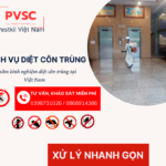 Công ty diệt côn trùng tận gốc giá rẻ PVSC