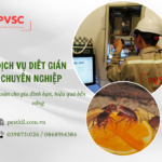 Dịch vụ diệt gián hiệu quả cho doanh nghiệp