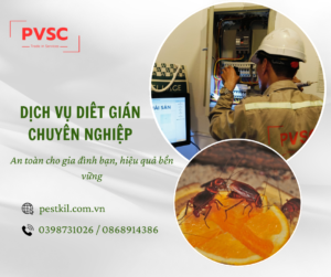 Dịch vụ diệt gián hiệu quả cho doanh nghiệp