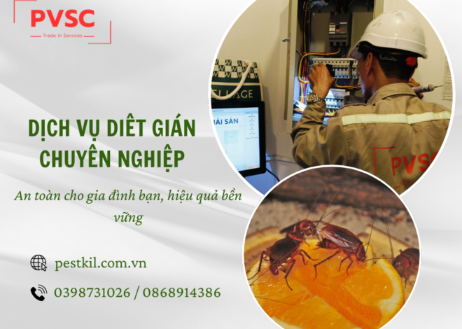 Dịch vụ diệt gián tận gốc giải pháp an toàn cho bạn