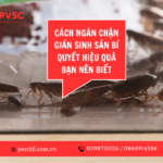 Gián sống được bao lâu ? Cách diệt gián hiệu quả