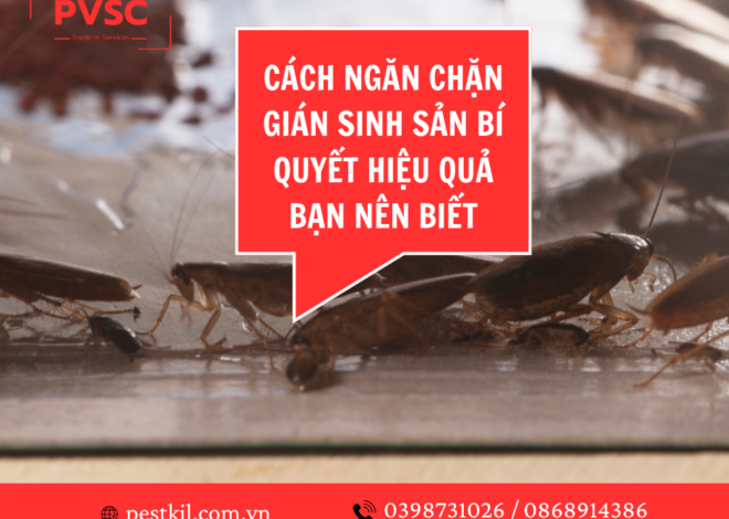 Gián sống được bao lâu ? Cách diệt gián hiệu quả