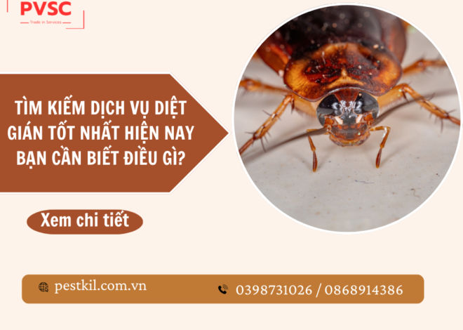 Dịch vụ diệt gián hiệu quả 99% – Công ty diệt gián PVSC