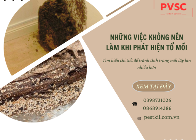 Những việc không nên làm để tránh mối lây lan