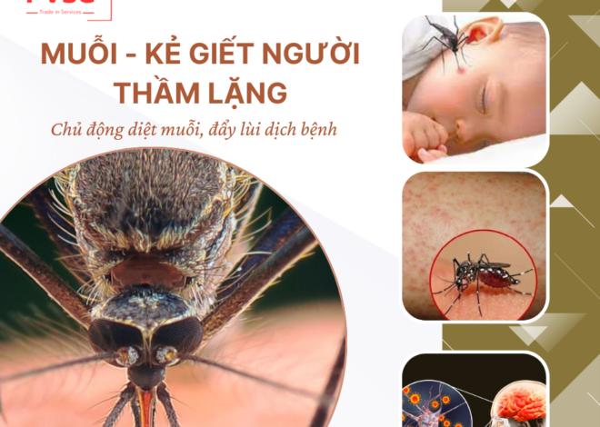 Những bệnh nguy hiểm do muỗi truyền, Cách phòng ngừa