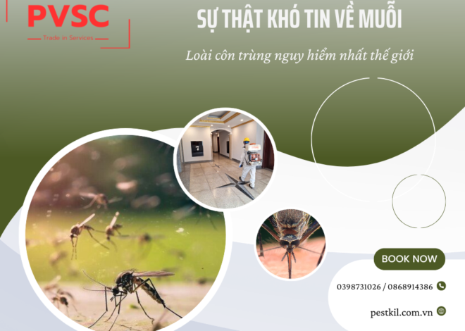 Sự thật về muỗi – Loài côn trùng nguy hiểm nhất thế giới