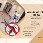 Dịch vụ diệt muỗi cho bệnh viện, trường học của pvsc