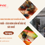 Ruồi mang theo những vi khuẩn gì? Giải pháp diệt ruồi từ PVSC