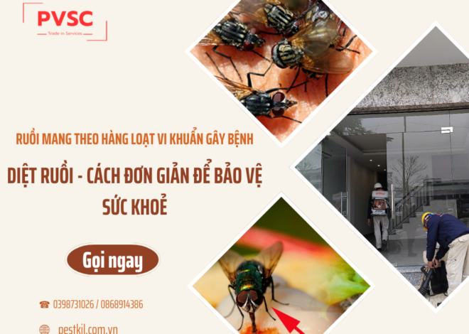 Ruồi mang theo những vi khuẩn gì? Giải pháp diệt ruồi từ PVSC