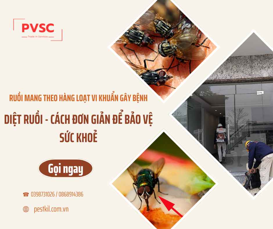 Ruồi mang theo những vi khuẩn gì? Giải pháp diệt ruồi từ PVSC