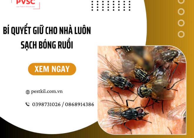 Làm thế nào để ngăn ruồi quay trở lại sau khi diệt?