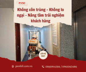 Kiểm soát côn trùng, dịch hại tổng hợp IPM cho khách sạn
