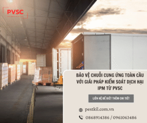 Giải pháp kiểm soát dịch hại tổng hợp IPM cho chuỗi Logistics, Kho vận quốc tế