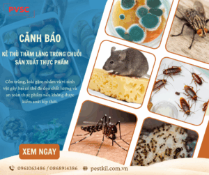 Các loại dịch hại ảnh hưởng đến an toàn thực phẩm