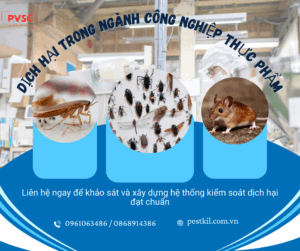 Dịch hại trong ngành công nghiệp thực phẩm: Mối nguy và giải pháp kiểm soát hiệu quả