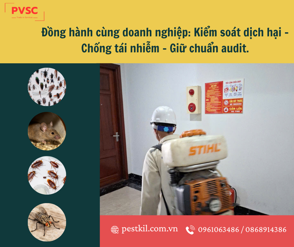 Quy trình kiểm soát dịch hại – Giải pháp toàn diện bảo vệ doanh nghiệp khỏi rủi ro