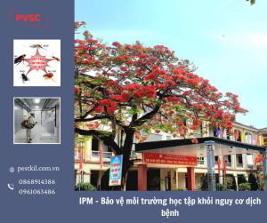 Kiểm soát dịch hại tổng hợp IPM trong trường học – Giải pháp an toàn bảo vệ sức khoẻ học sinh