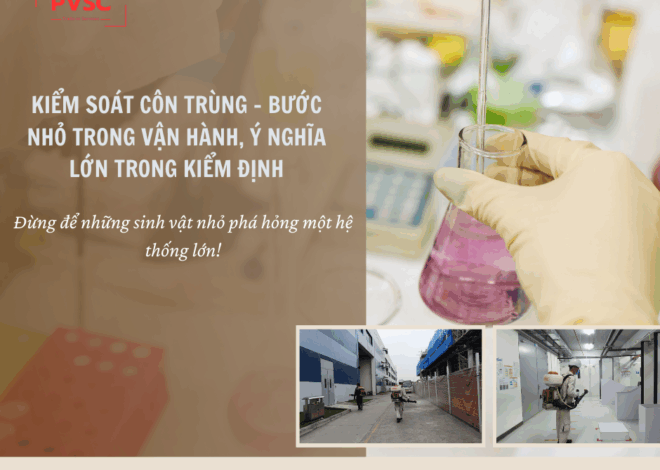Không kiểm soát dịch hại: Rủi do lớn khiến nhà máy dược mất chứng nhận GMP