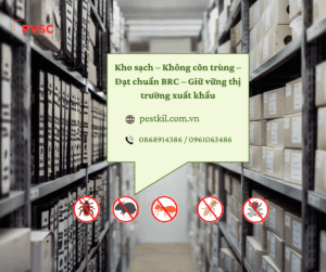 Vì sao kiểm soát dịch hại trong kho bãi là yêu cầu bắt buộc theo chuẩn BRC?