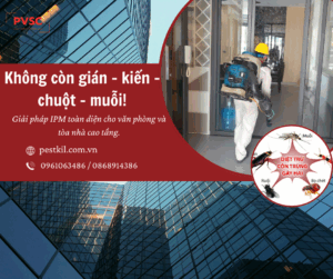 Kiểm soát dịch hại tổng hợp IPM cho văn phòng, tòa nhà: Không còn nỗi lo côn trùng gây hại