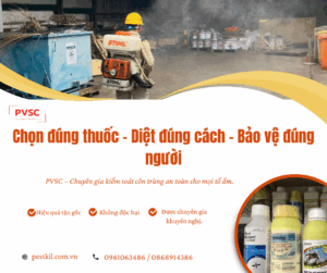 Sử dụng thuốc diệt côn trùng: Giải pháp an toàn bảo vệ sức khỏe gia đình