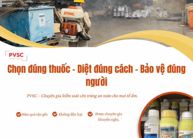 Sử dụng thuốc diệt côn trùng: Giải pháp an toàn bảo vệ sức khỏe gia đình