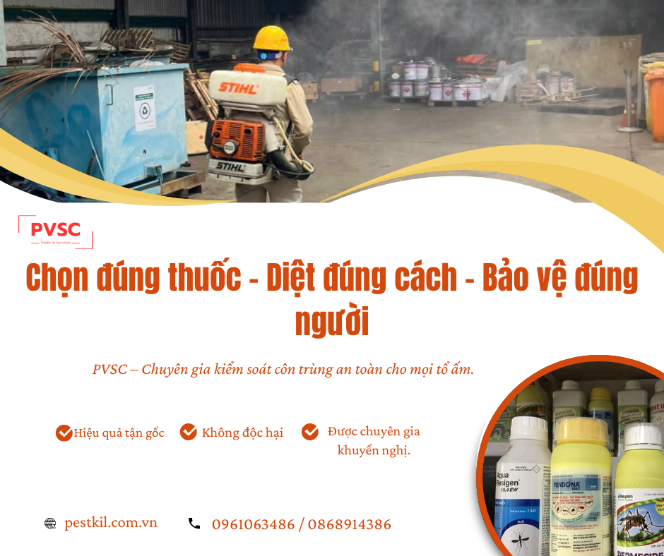 Sử dụng thuốc diệt côn trùng: Giải pháp an toàn bảo vệ sức khỏe gia đình