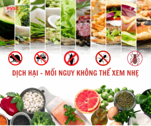 Ví dụ về dịch hại trong ngành thực phẩm