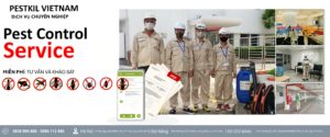 Những sai lầm phổ biến khi dùng thuốc diệt côn trùng trong khu dân cư