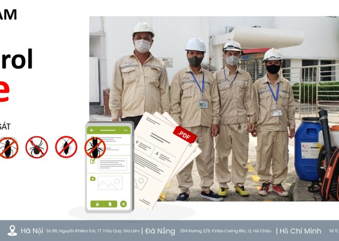 Những sai lầm phổ biến khi dùng thuốc diệt côn trùng trong khu dân cư