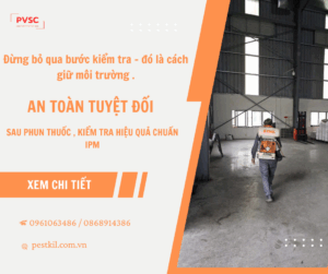 Cách kiểm tra hiệu quả sau khi phun thuốc diệt côn trùng tại nhà hoặc nhà máy