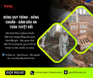 Đảm bảo đúng quy trình và hồ sơ khi thuê đơn vị phun thuốc diệt côn trùng