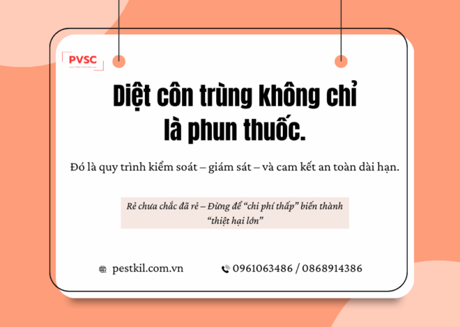 Dịch vụ diệt côn trùng an toàn có gì khác với các gói giá rẻ trôi nổi?