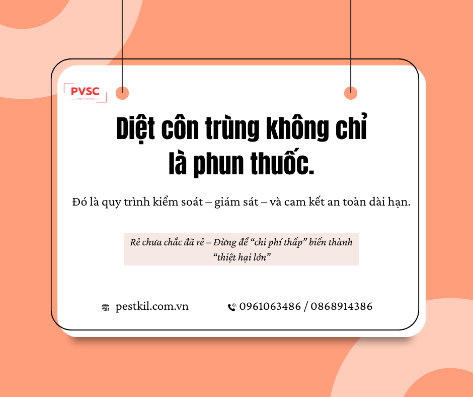 Dịch vụ diệt côn trùng an toàn có gì khác với các gói giá rẻ trôi nổi?