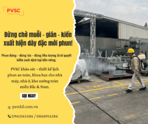 Tần suất phun thuốc bao nhiêu là hợp lý để đảm bảo hiệu quả mà vẫn an toàn?