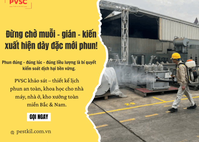 Tần suất phun thuốc bao nhiêu là hợp lý để đảm bảo hiệu quả mà vẫn an toàn?