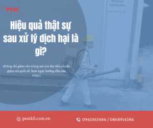 Làm thế nào để đánh giá hiệu quả sau mỗi đợt phun thuốc diệt côn trùng?