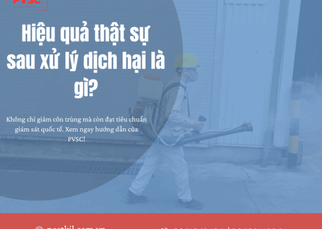Làm thế nào để đánh giá hiệu quả sau mỗi đợt phun thuốc diệt côn trùng?