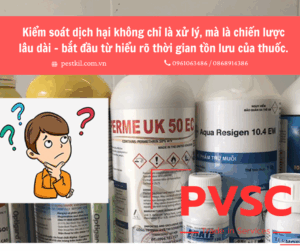 Hiệu quả tồn lưu của các loại thuốc diệt côn trùng: Bao lâu mới cần phun lại?