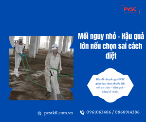 Ở miền Bắc nên chọn loại thuốc diệt mối nào để vừa hiệu quả vừa an toàn?