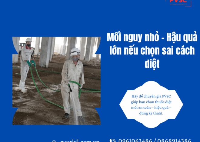 Ở miền Bắc nên chọn loại thuốc diệt mối nào để vừa hiệu quả vừa an toàn?